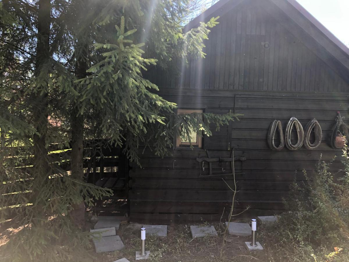 Dom Alpejski Krosniczanka Krosnica  Bagian luar foto